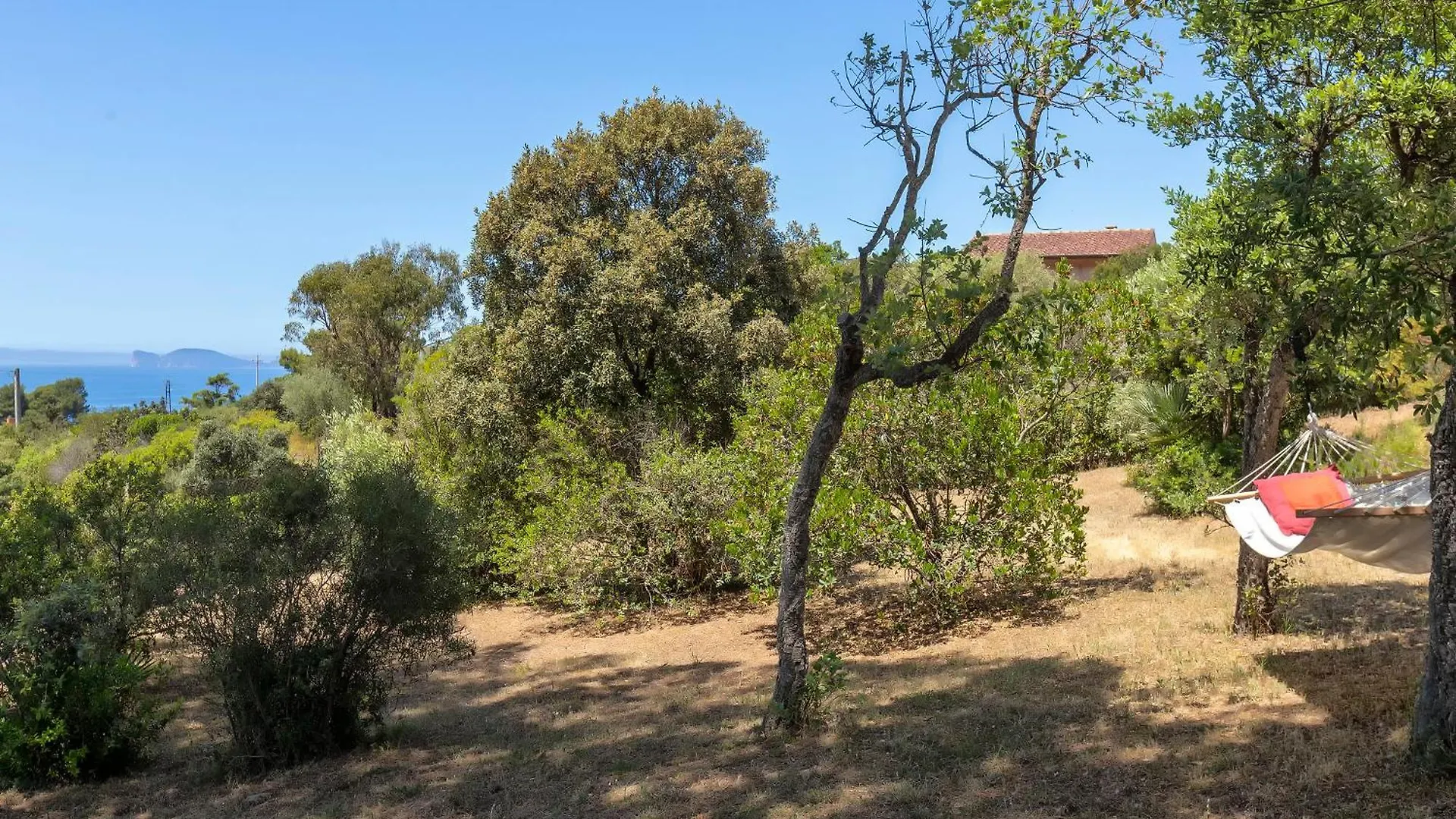 Alghero Villa Barranch With Sea View Swimming Pool For 6 People 0*,  Olaszország