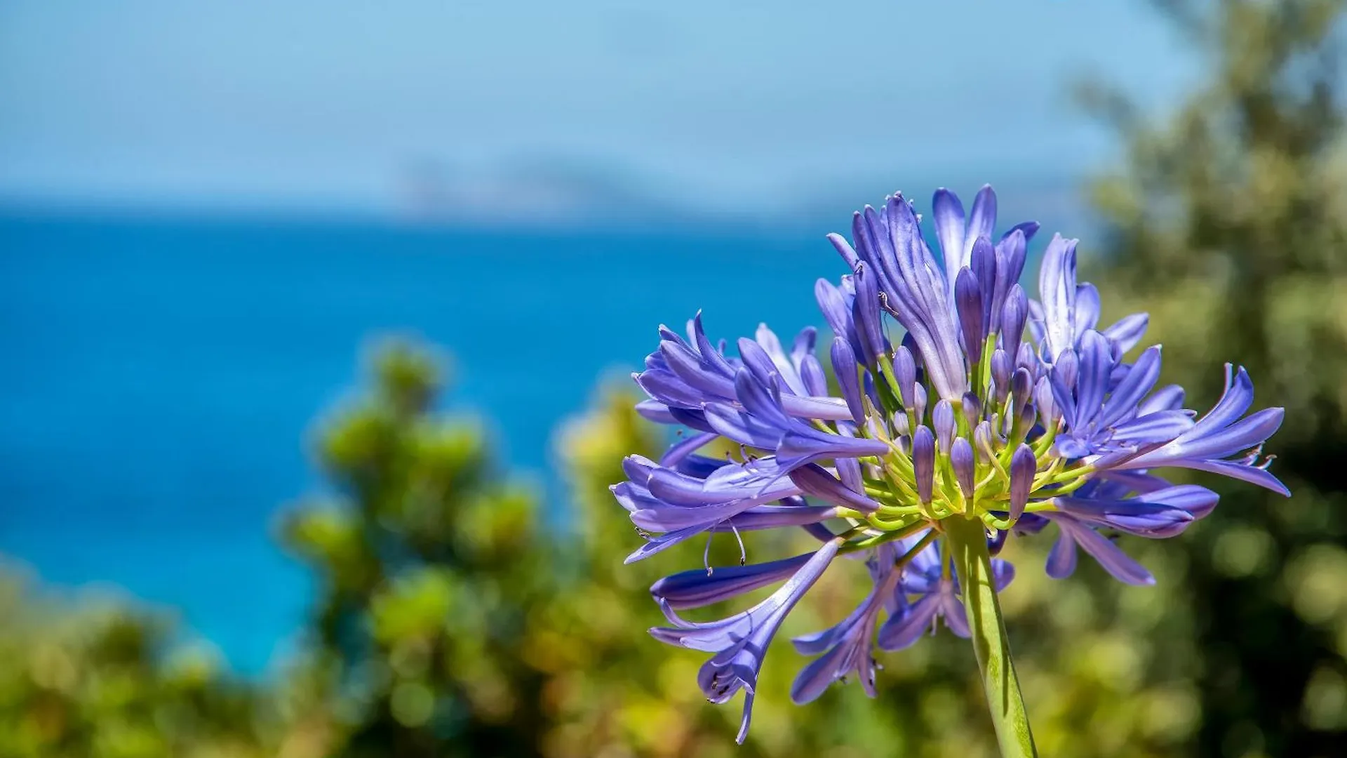 Alghero Villa Barranch With Sea View Swimming Pool For 6 People