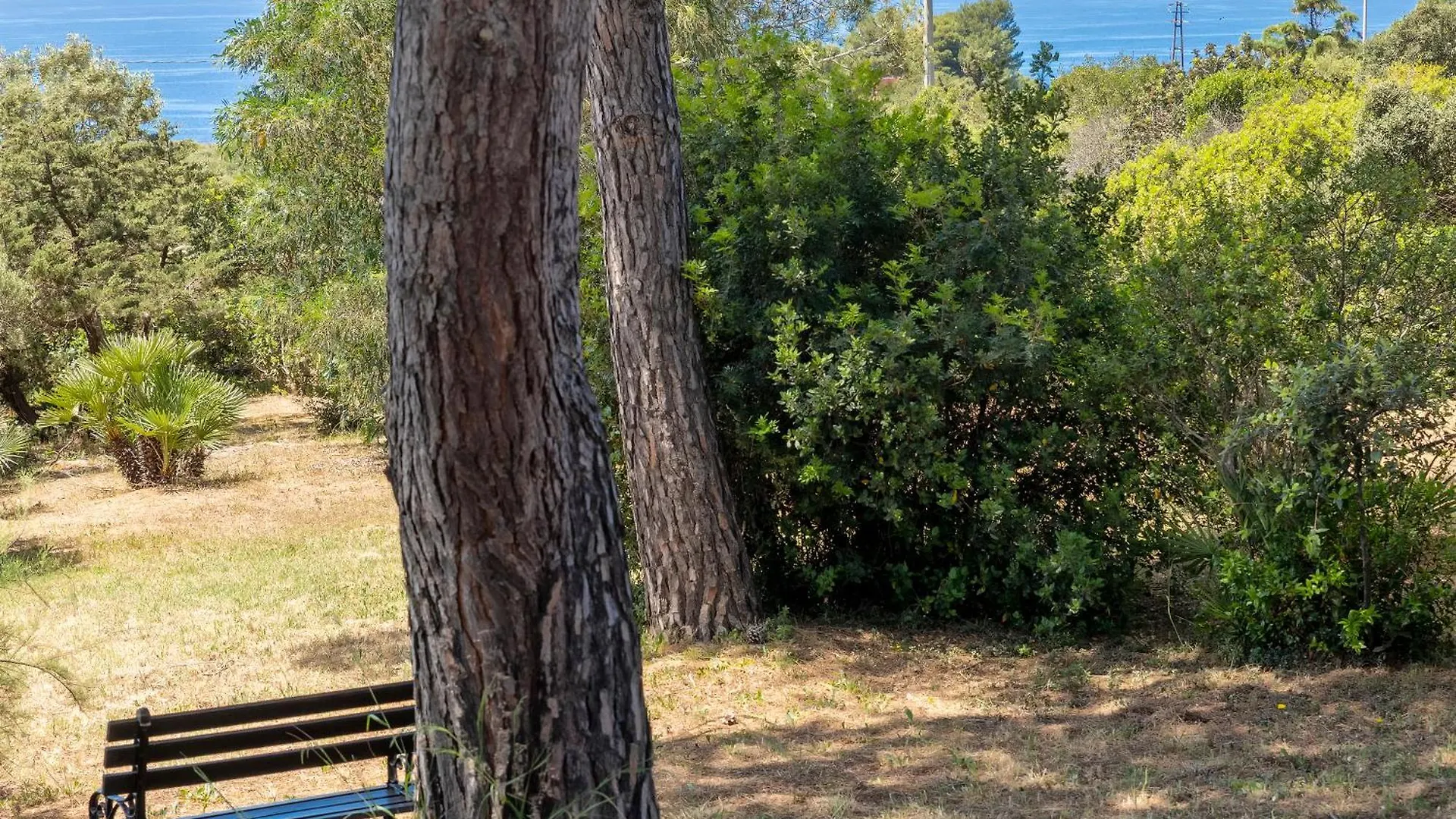 Alghero Villa Barranch With Sea View Swimming Pool For 6 People